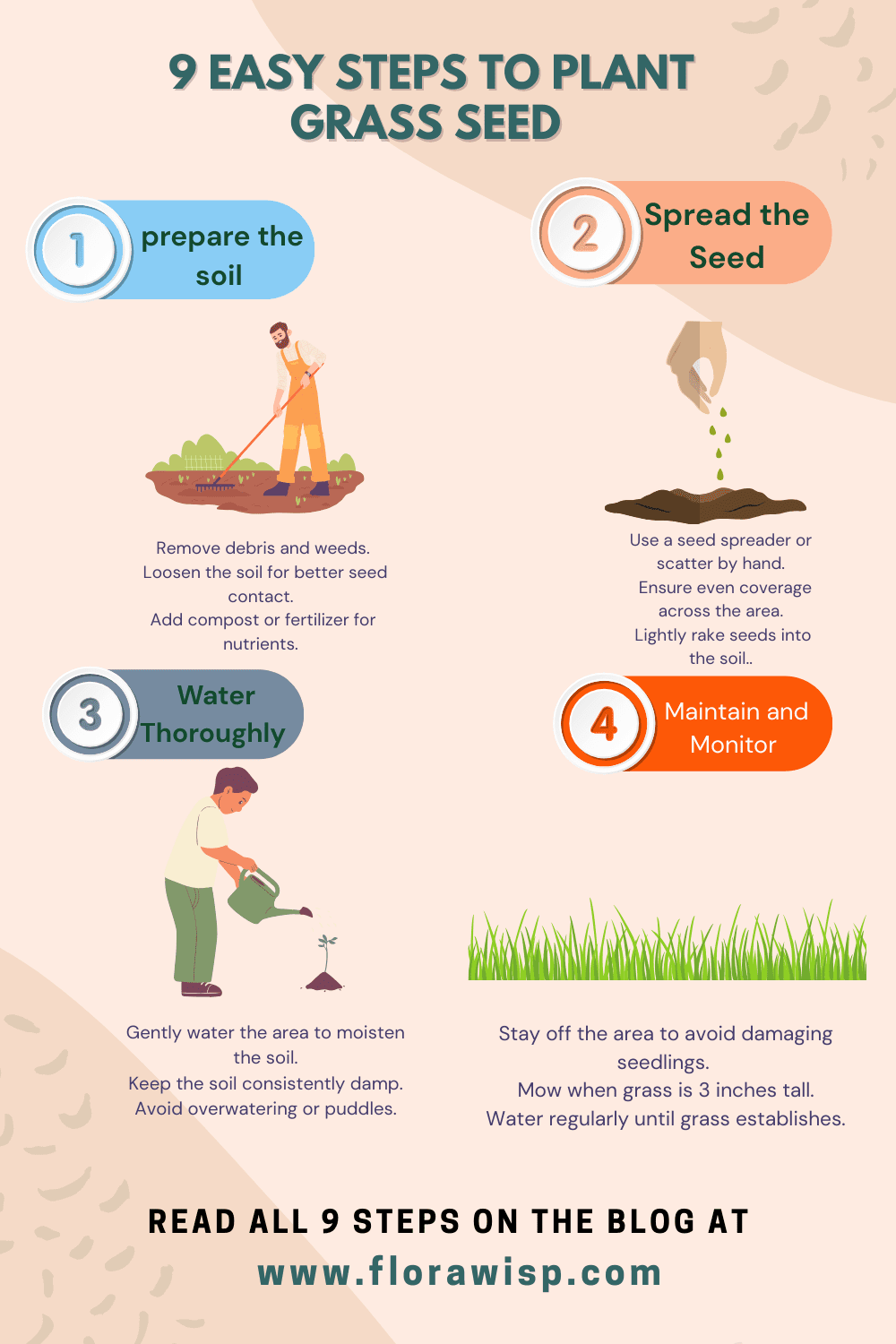 A infographic showing How to Plant Grass Seed: 9 Steps 