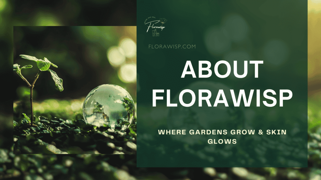 Small young plant sprouting from rich organic soil, symbolizing natural growth, organic gardening, and sustainable skincare at FloraWisp.