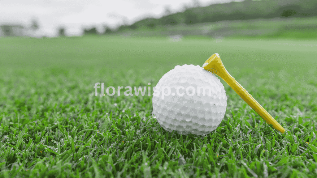 Close-up of Bermuda grass types on a golf course with a golf ball resting on the turf, highlighting fine-textured grass ideal for sports fields and lawns.