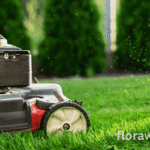 A lawn mower trimming vibrant green grass in a well-maintained backyard, illustrating evergreen grass care for a healthy lawn year-round.