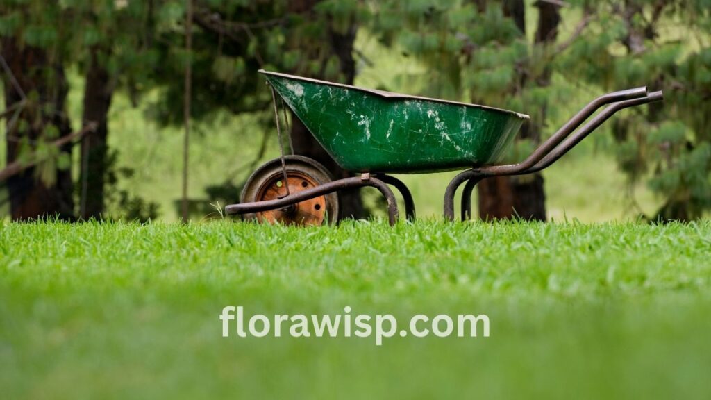 Hand-driven wheelbarrow on lush green grass, ideal for gardening for beginners