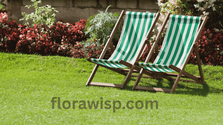 A lush green lawn with a chair, illustrating the beauty of a healthy yard after following steps on how to plant Bermuda grass seeds.