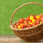 How to Plant Cherry Tomatoes, Cherry tomatoes inside the basket