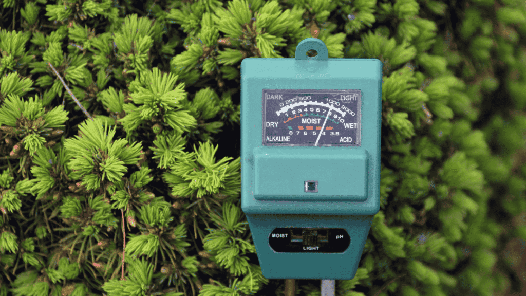 Soil thermometer checking temperature, Showing exact way to use.