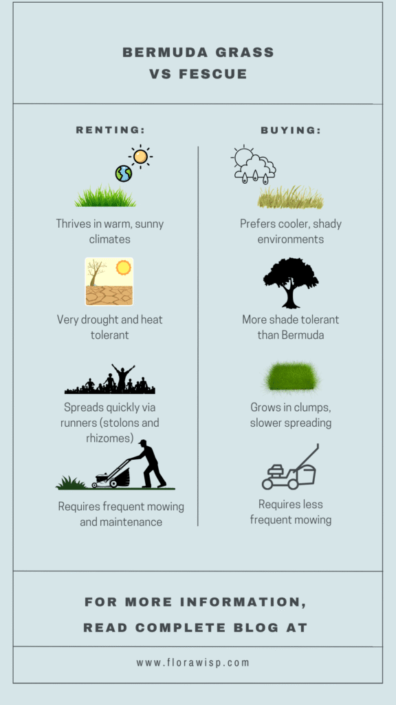 Bermuda grass vs fescue infographic comparing key differences in growth, maintenance, and climate suitability.