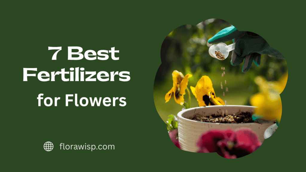 7 Best Fertilizer for Flowers infographic showcasing top bloom-boosting nutrientsaddition in soil to make fertilizer