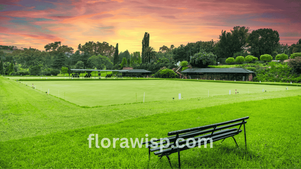 lush green lawn with Bermuda grass in Georgia during summer , majestic view of sunset