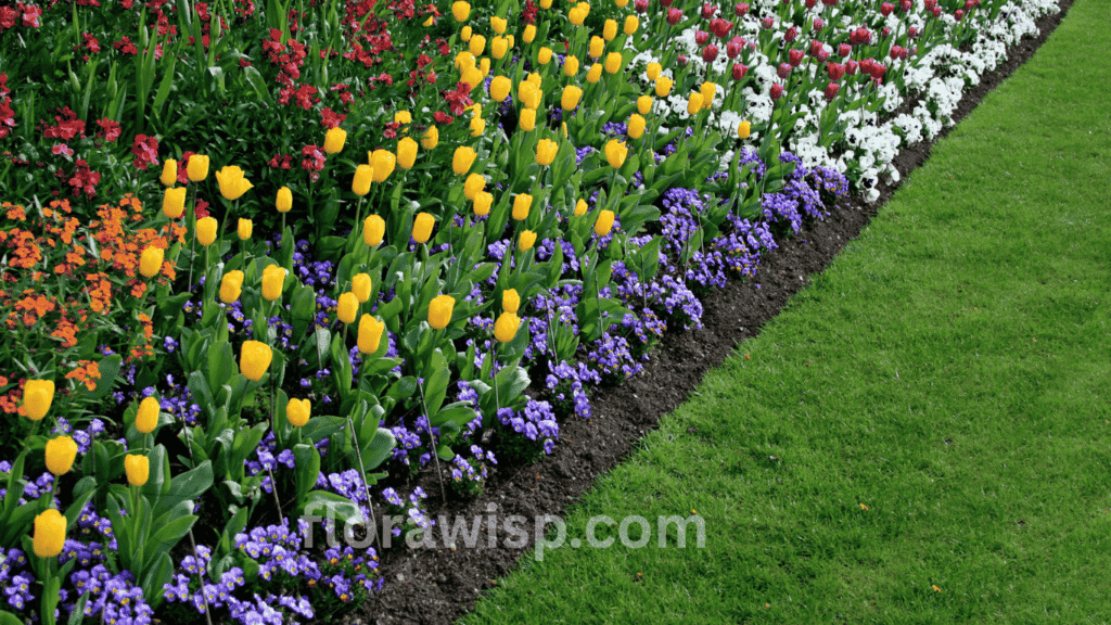 Best Fertilizer for Flowers boosting vibrant blooms in a home garden with zinnias and marigolds