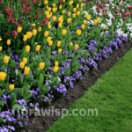 Best Fertilizer for Flowers boosting vibrant blooms in a home garden with zinnias and marigolds