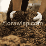 Best Soil for Flowers being mixed by hand in a garden bed with compost and organic matter