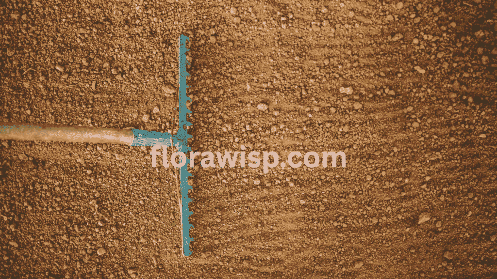 Preparing best soil for Zoysia grass in Texas using rake for proper lawn foundation and drainage
