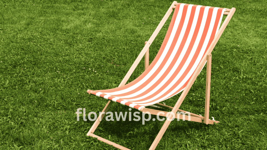 Empire Zoysia grass lawn with a garden chair under sunlight