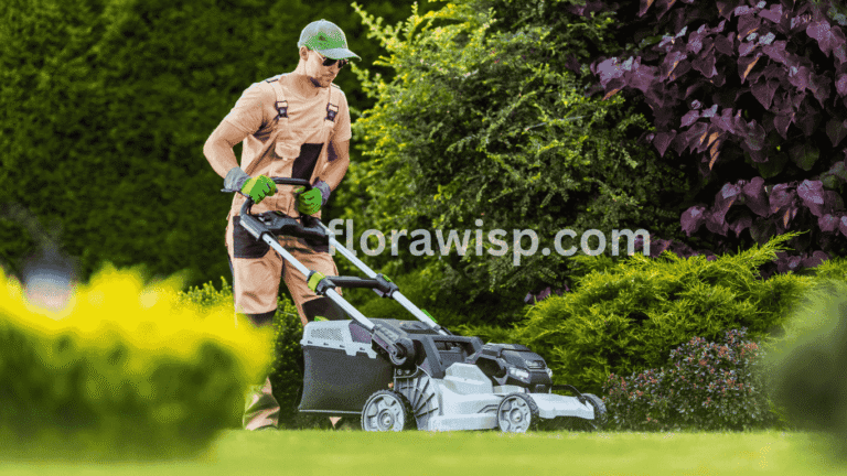 Man mowing a green lawn with a lawn mower, illustrating lawn care cost.