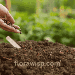 How to Plant Flowers from Seeds – A gardener’s hand placing seeds into fresh soil for successful flower germination.