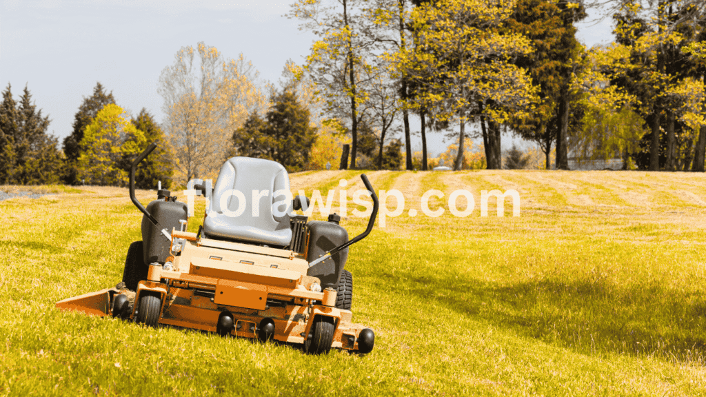 st. augustine grass turns yellow after fertilizing due to over-application, heat stress, or iron deficiency in Florida lawn care