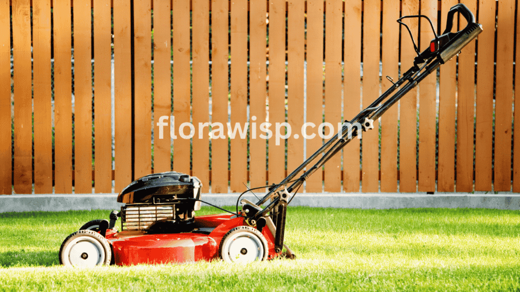 St. Augustine grass in Texas mowing with sharp blades set at 3.5 inches for healthier turf and weed prevention