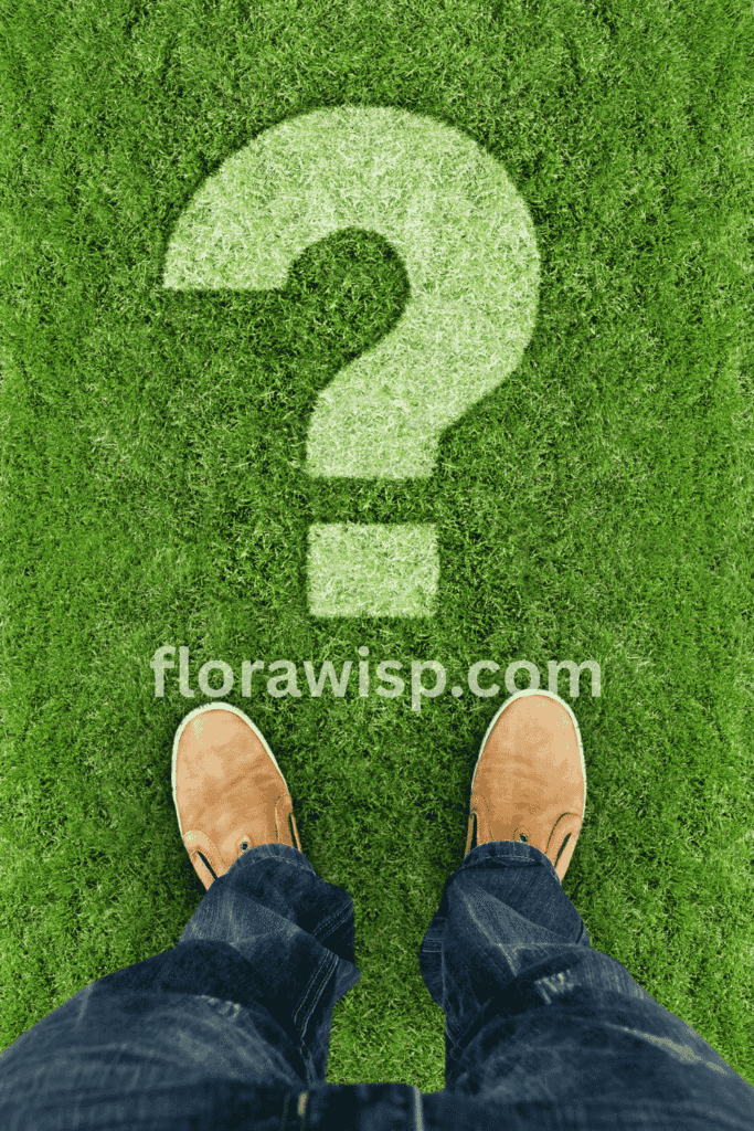 Close-up of healthy Bermuda grass in a sunny Georgia lawn, showing dense green turf ideal for homeowners choosing warm-season grass