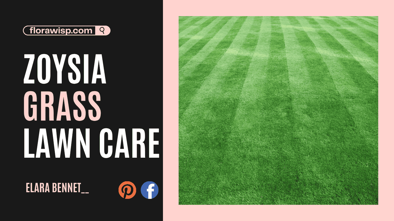 Zoysia Grass Lawn: 7 Game-Changing Tips to Grow Thicker
