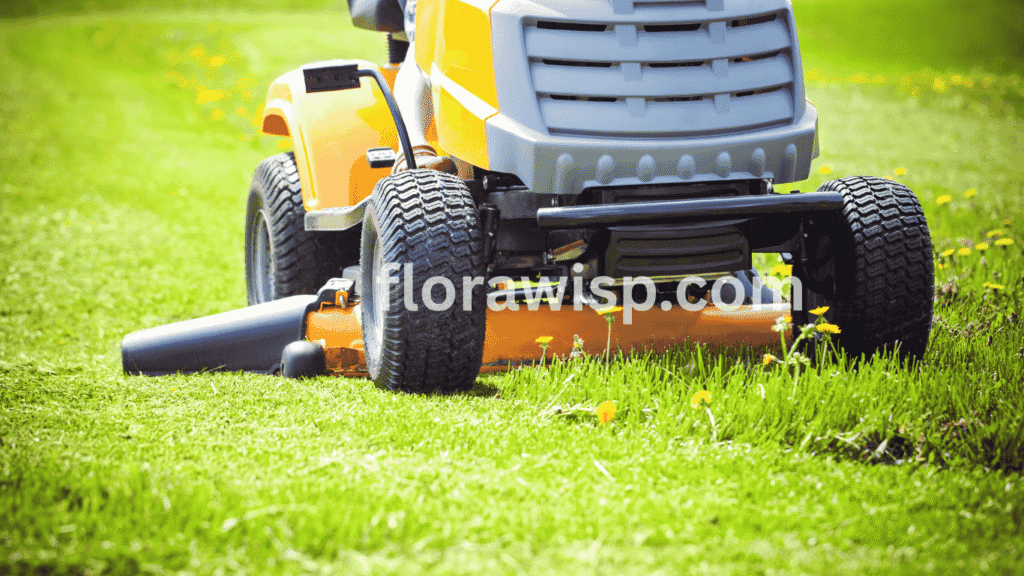 Lawn mower cutting a healthy Zoysia grass lawn during routine lawn care maintenance