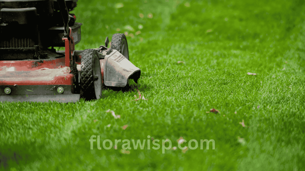 Lawn maintenance machine operating on a healthy yard following the Bermuda grass maintenance schedule Texas