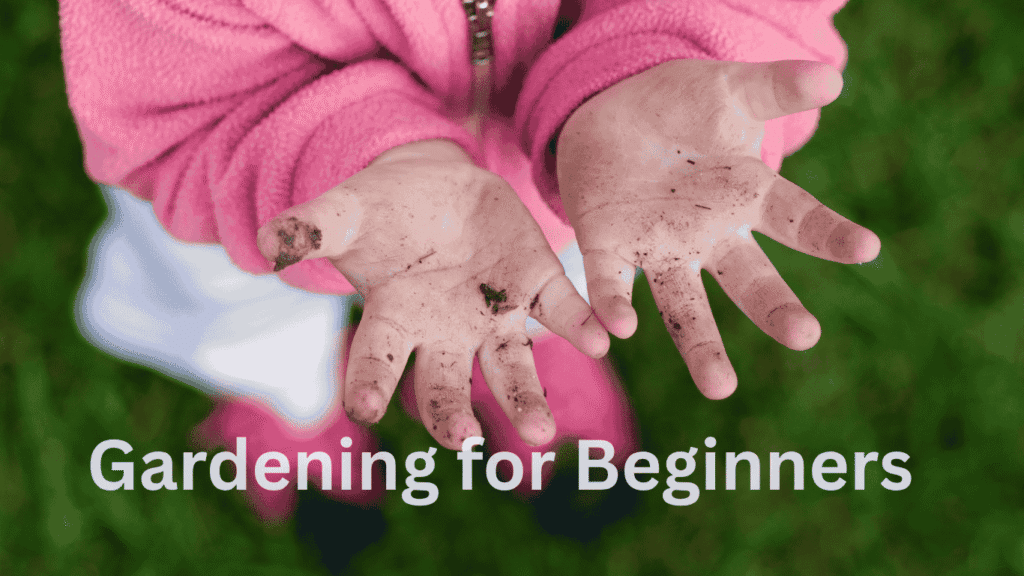 Gardening for beginners, Little hands covered in fresh soil, preparing the garden bed