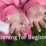 Gardening for beginners, Little hands covered in fresh soil, preparing the garden bed
