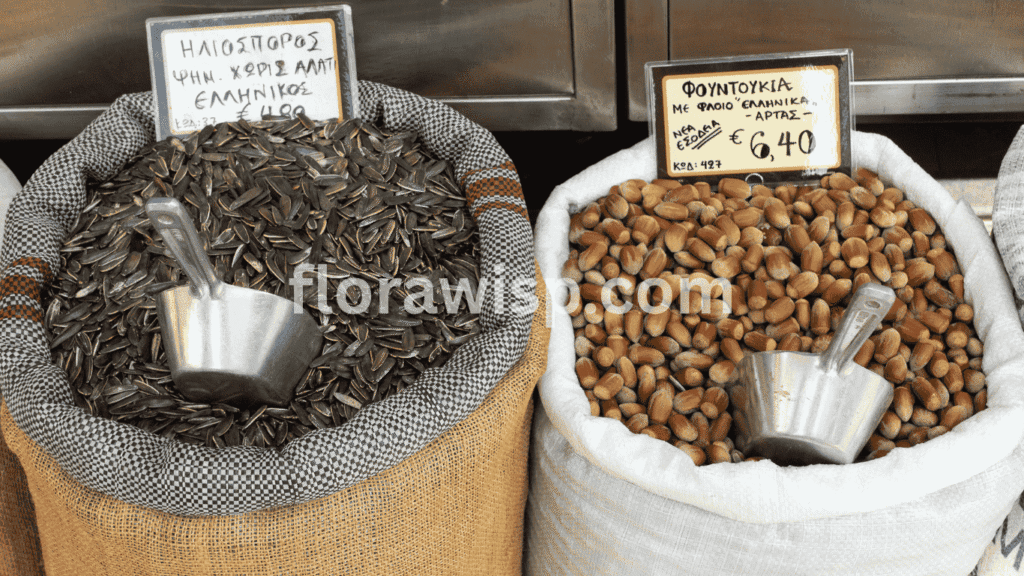 Bag of sunflower seeds labeled for sale, ideal for gardeners buying sunflower seeds for planting