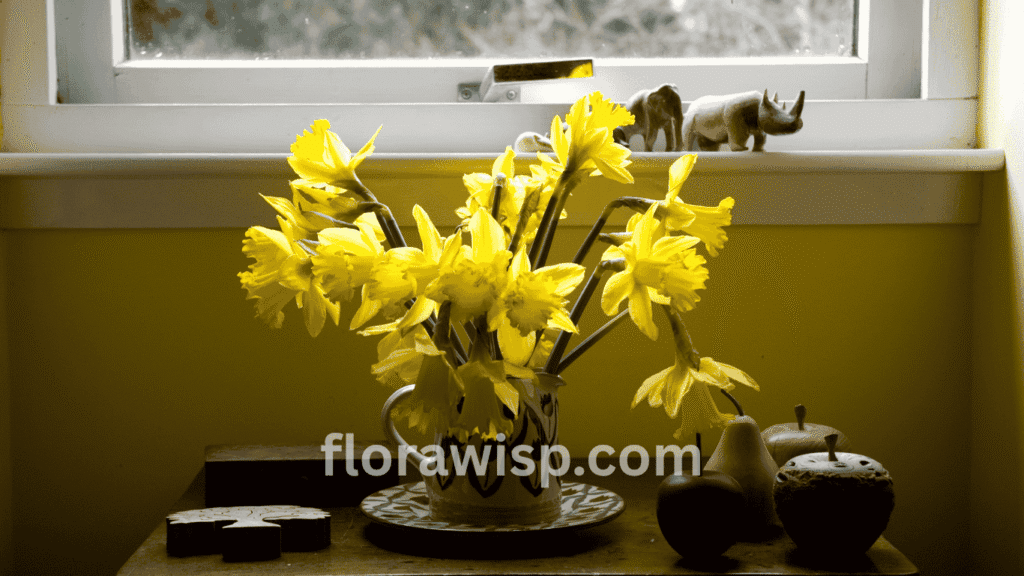 Daffodil bouquet flowers arranged in a clear glass vase for spring decoration
