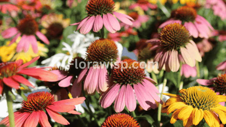 Different types of sunflowers blooming in a vibrant garden, featuring dwarf, red, and giant sunflower varieties.