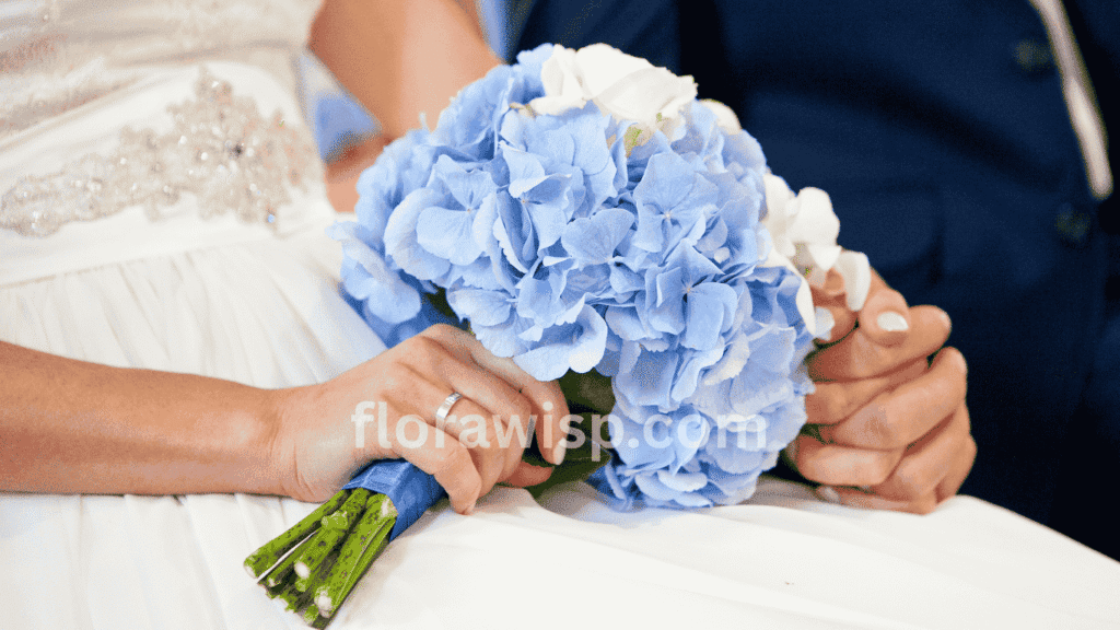 Blue hydrangea wedding flowers – bride holding a stunning blue hydrangea bouquet in natural light.

