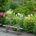 dahlia flowers colorful dahlias blooming along a garden fence with lush green leaves and vibrant petals