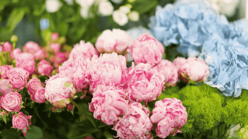 Elegant pink peony and rose bouquet with lush petals, perfect for weddings, gifts, and romantic floral arrangements