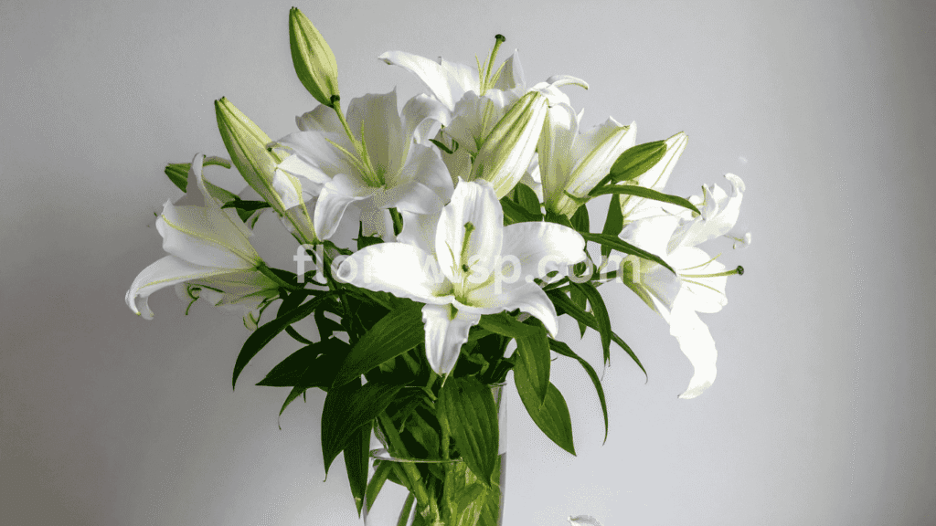 Fresh white lilies arranged in a clear glass vase on a wooden table, with natural light highlighting their delicate petals.