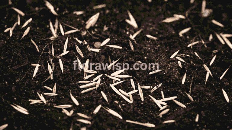Dormant seeding grass seeds on brown soil for early spring growth