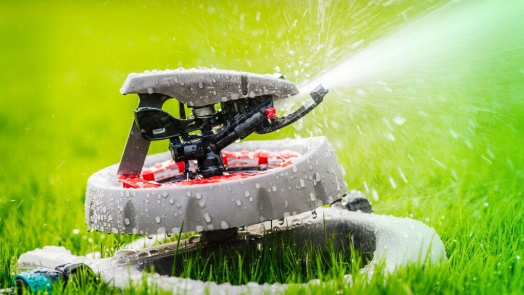 Grass care with gardener watering lawn using a water piston for healthy growth