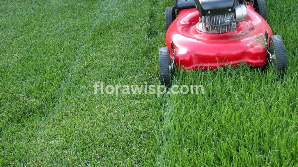 Lawn mower on fresh green grass, highlighting spring seeding benefits for a healthier lawn.
